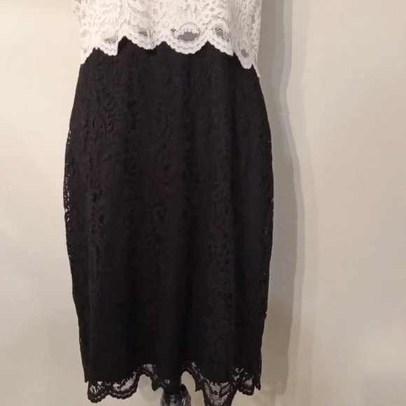 Betsy Johnson Ivory and Black Lace Dress with Collar Size 14 - Picture 3 of 12